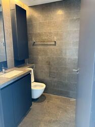 Skysuites@Anson (D2), Apartment #533324711
